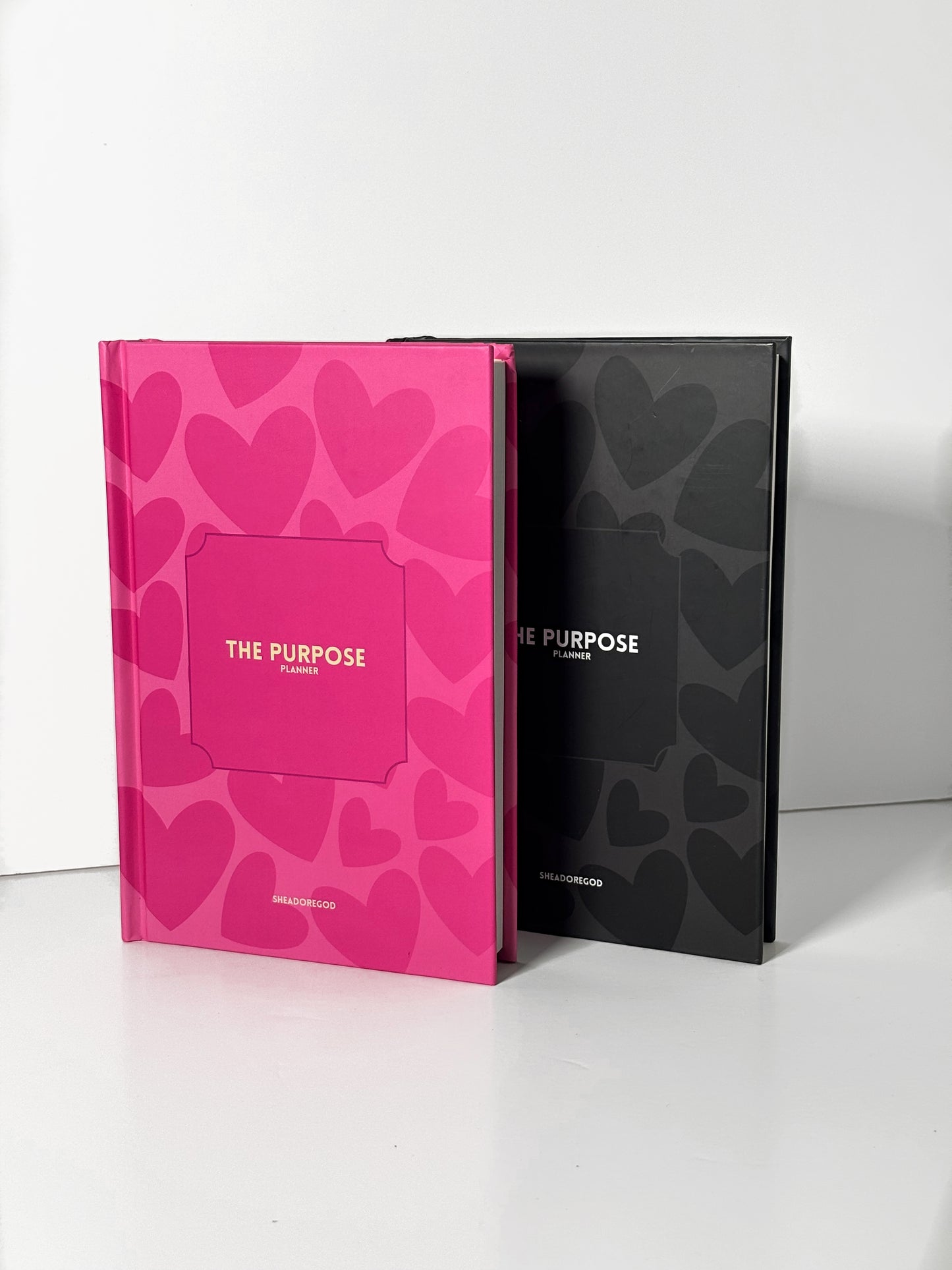 PLANNER 2025 : THE PURPOSE