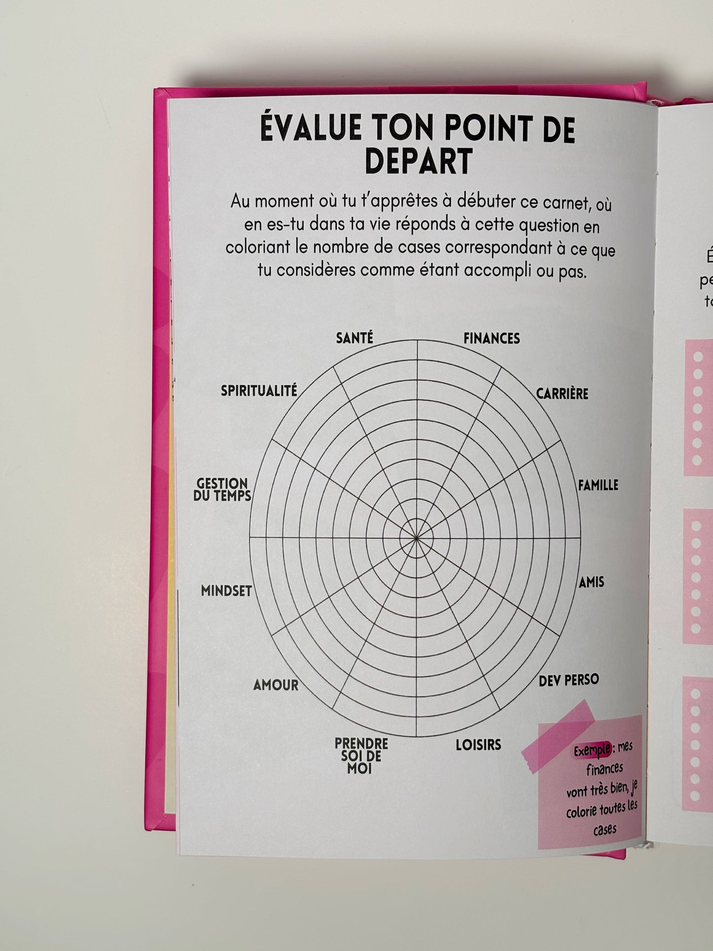 PLANNER 2025 : THE PURPOSE