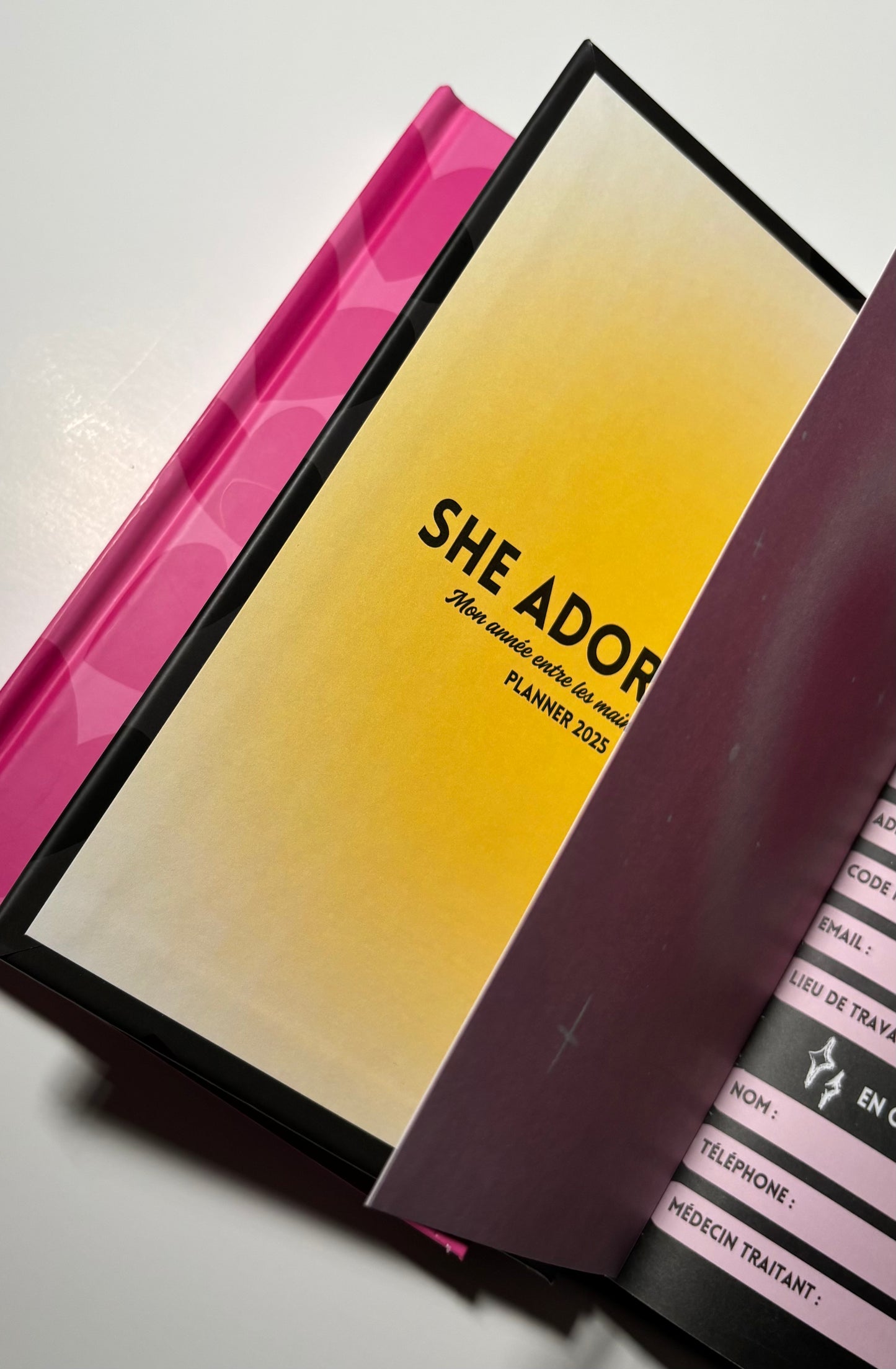 PLANNER 2025 : THE PURPOSE