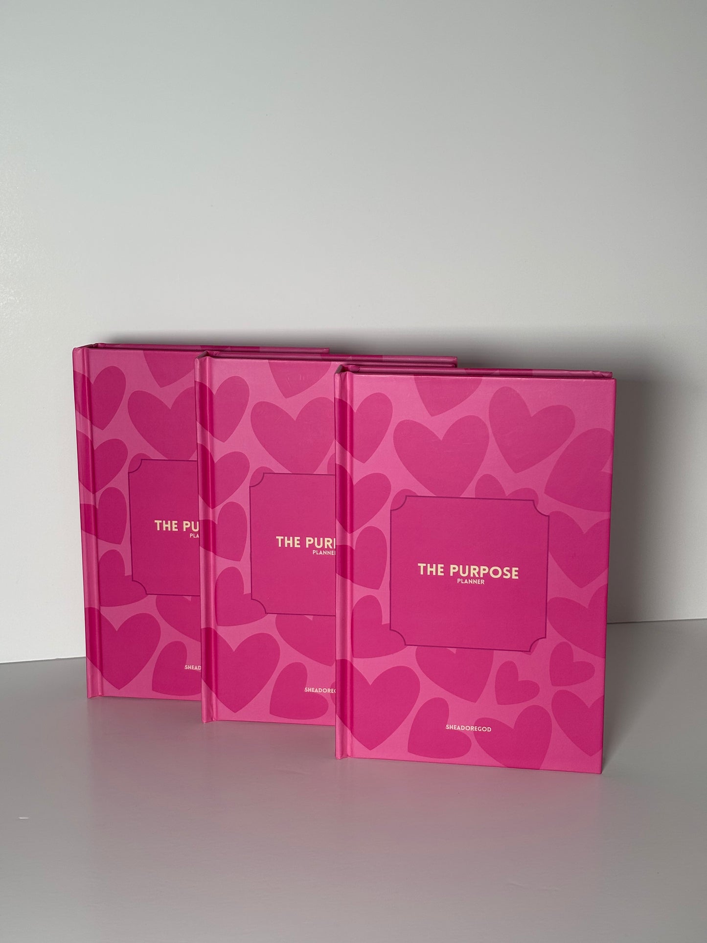 PLANNER 2025 : THE PURPOSE