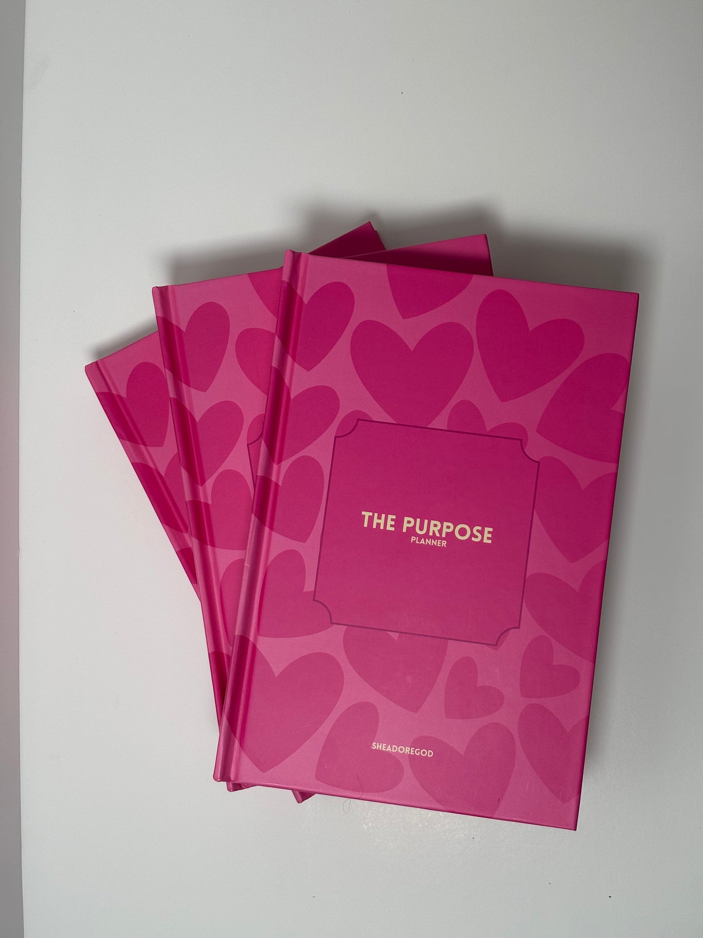 PLANNER 2025 : THE PURPOSE